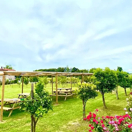 Cento Giorni Costa Paestum B&B
