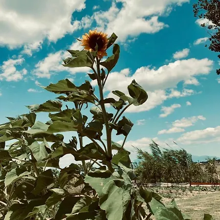 Cento Giorni Costa Paestum Bed & Breakfast Capaccio