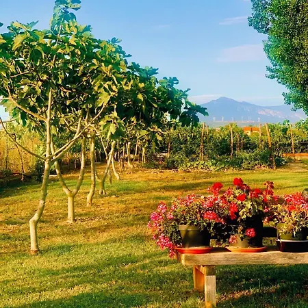 Cento Giorni Costa Paestum Bed & Breakfast Capaccio