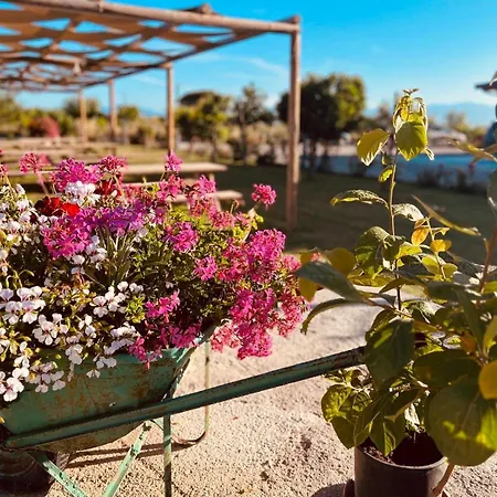 Cento Giorni Costa Paestum Bed & Breakfast