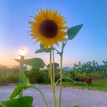 Cento Giorni Costa Paestum Bed & Breakfast