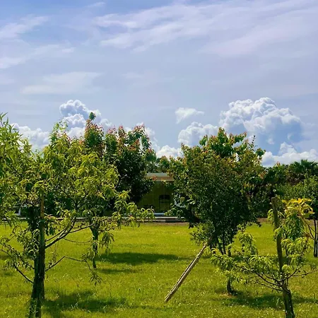 Bed & Breakfast Cento Giorni Costa Paestum